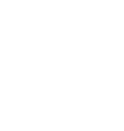 vault icon